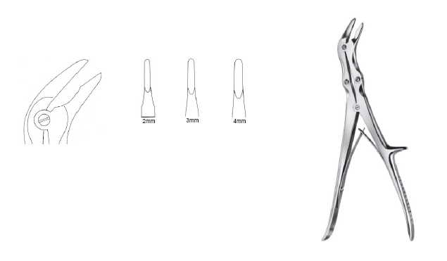 Echlin Duckbill Rongeur 9" angular str 2mm DA