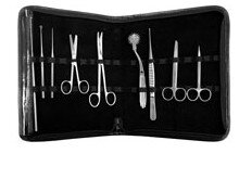 Instraightument Display case w handle holds 55