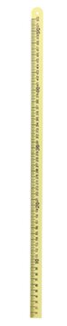 X-Ray Ruler Flexible 21 1/2" mm graduations up to 52mm, plastic
