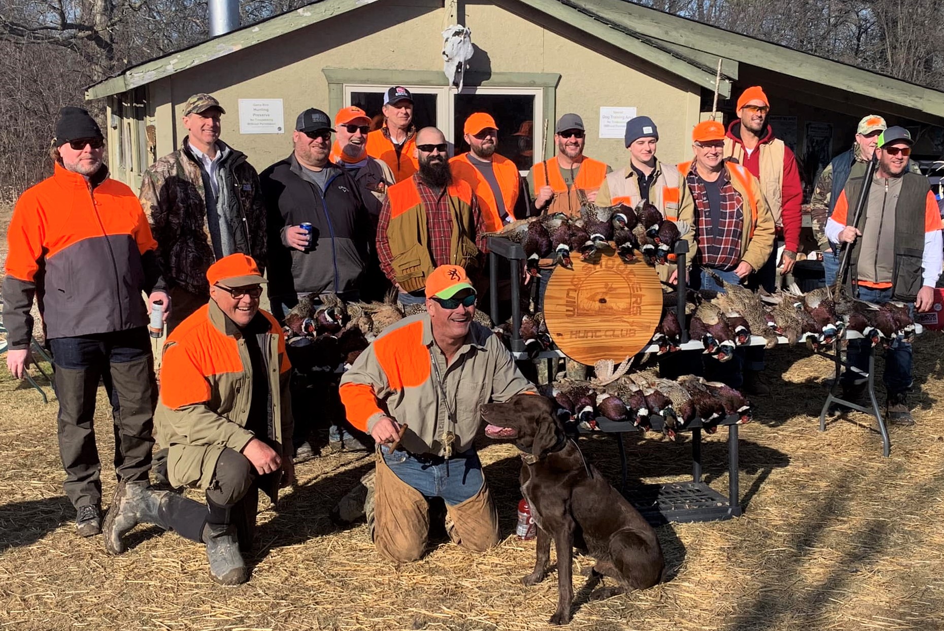 Linblade Bird Dog Training