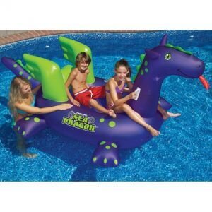 img_1_20180214212606_4118_SeaDragon_300s