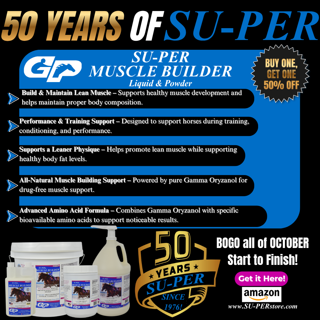 SU-PER50SALE261001MuscleBuilder