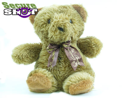 Teddy Bear Nanny Cam