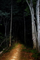 Light your way at night and stay protected at the same time.