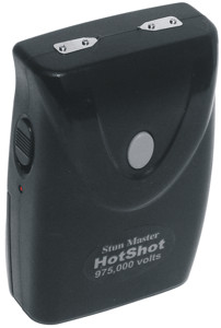Small and Easy to Carry Stun Guns