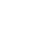 Icon1
